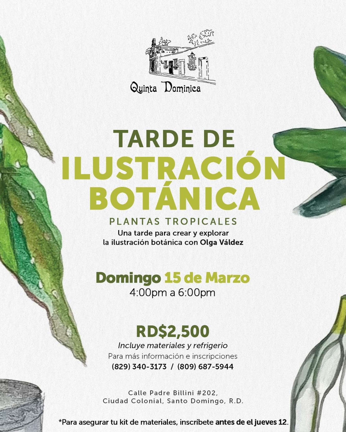 Taller “Tarde de Ilustración Botánica: Plantas Tropicales”