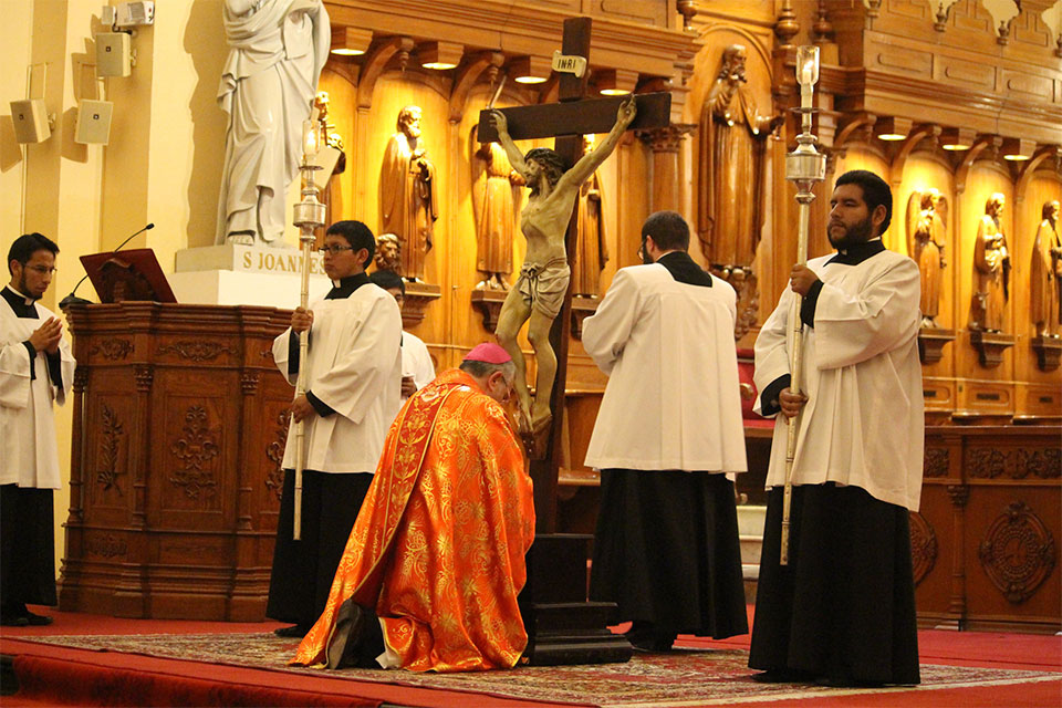 Viernes Santo: Ceremonia de la Pasión del Señor, Descendimiento de la Cruz