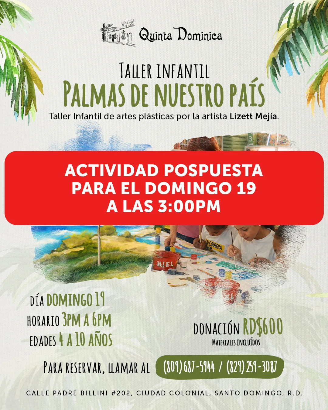 Palmas de nuestro país